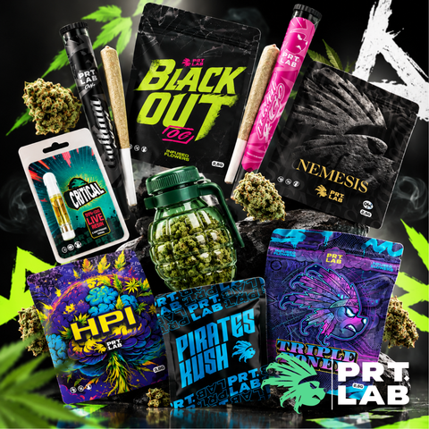 PRT.LAB 🐻🏴‍☠️