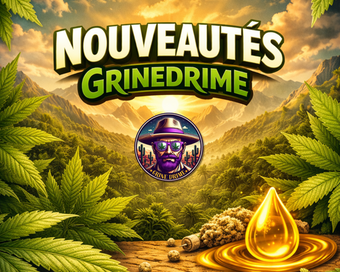 LES NOUVEAUTÉS !