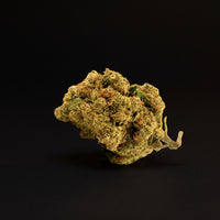 AMNESIA HAZE
