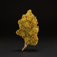 AMNESIA LEMON