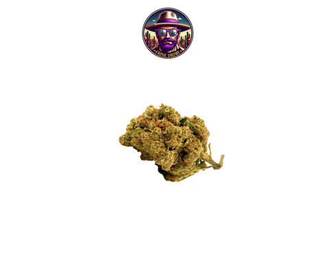 AMNESIA HAZE CBD