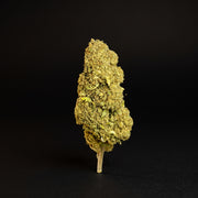 CASPER 30% OH+ CBD