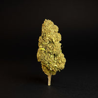 CASPER 30% OH+ CBD