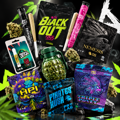 PRT.LAB 🐻🏴‍☠️