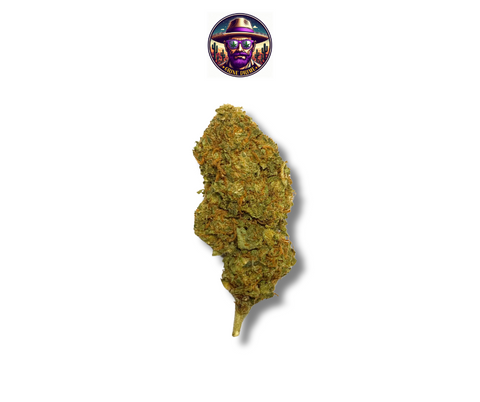 NORTHEN LIGHTS CBD