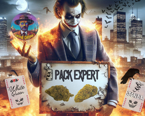 Pack GOTHAM EXPERT 10+10 GRS