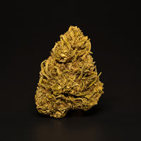GELATO CBD