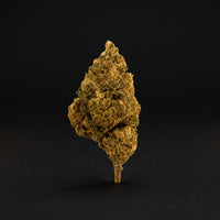 MANGO KUSH