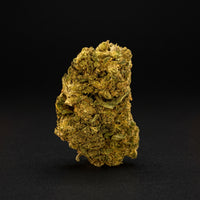 MOJO MANGO