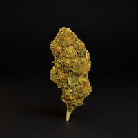 NORTHEN LIGHTS CBD