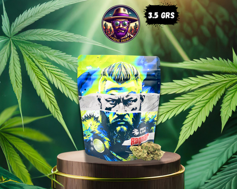 RAGNAR - FLEUR CBD PRT.LAB