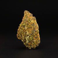 STRAWBERRY GREENHOUSE PREMIUM