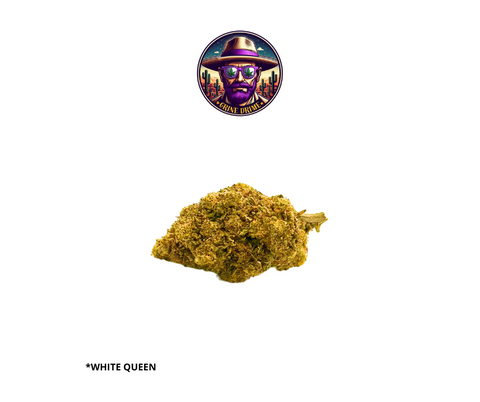 Pack GOTHAM AMATEUR 3+3 GRS