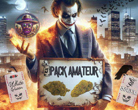 Pack GOTHAM AMATEUR 3+3 GRS