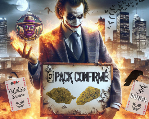 Pack GOTHAM CONFIRMÉ 5+5 GRS