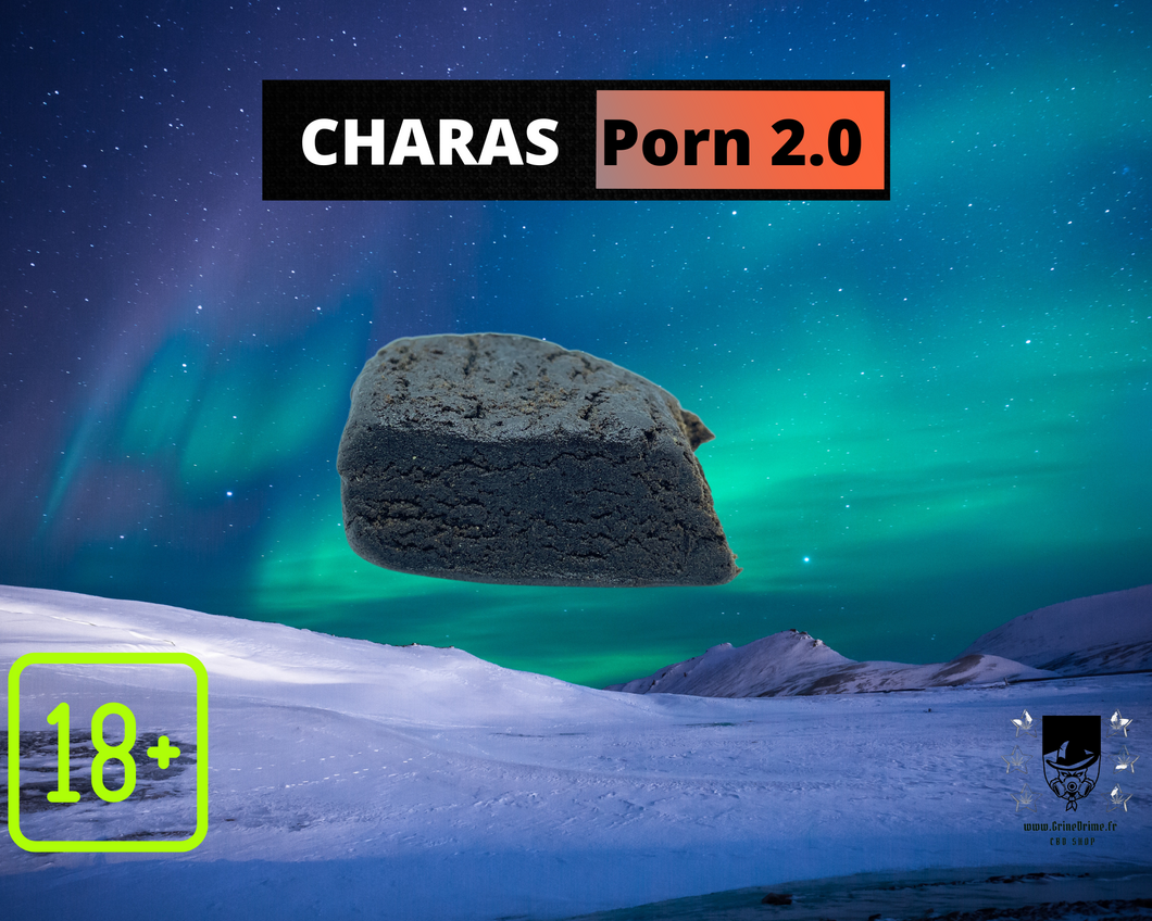 Charas Porn 2.0 CBD
