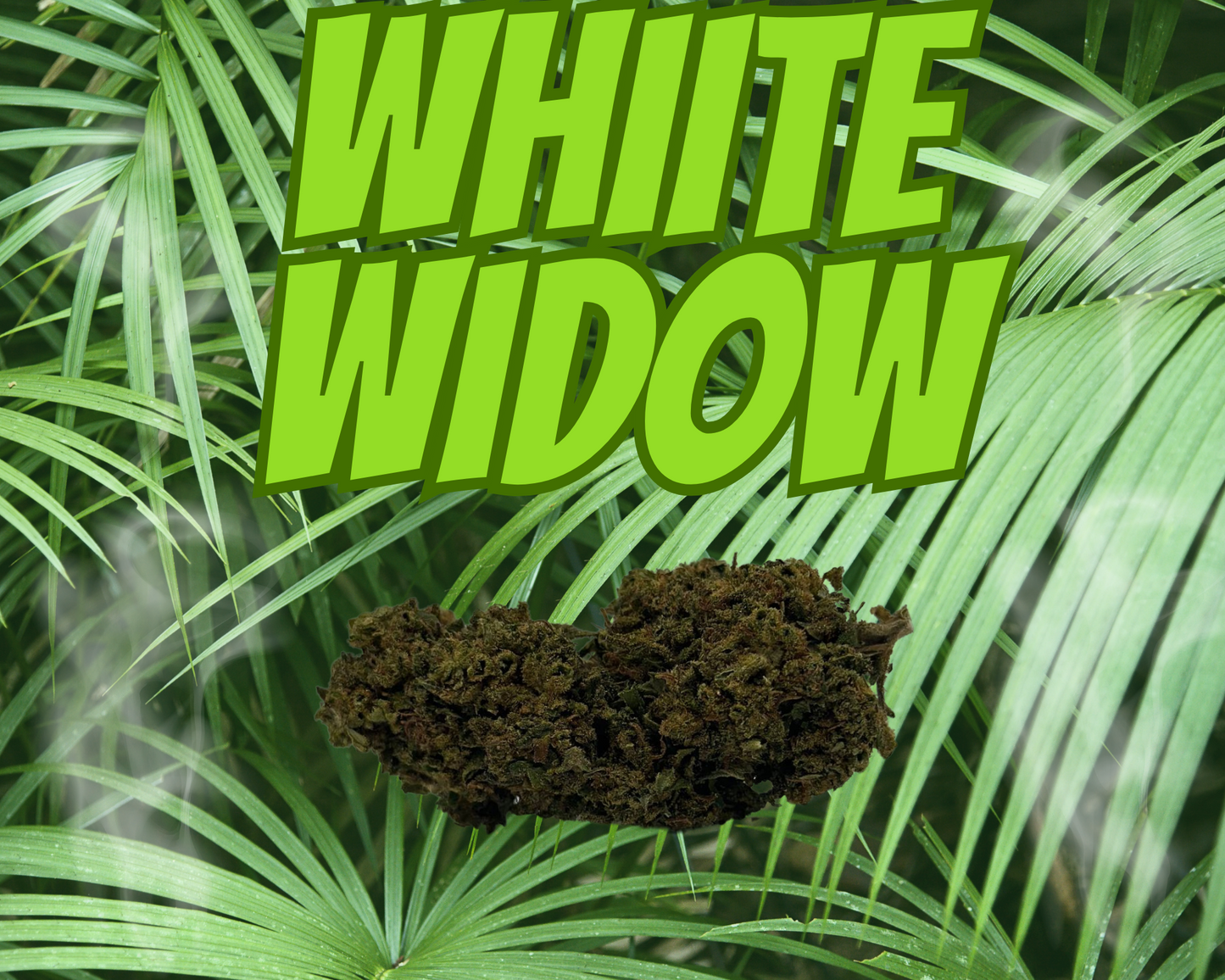 White Widow  Indoor