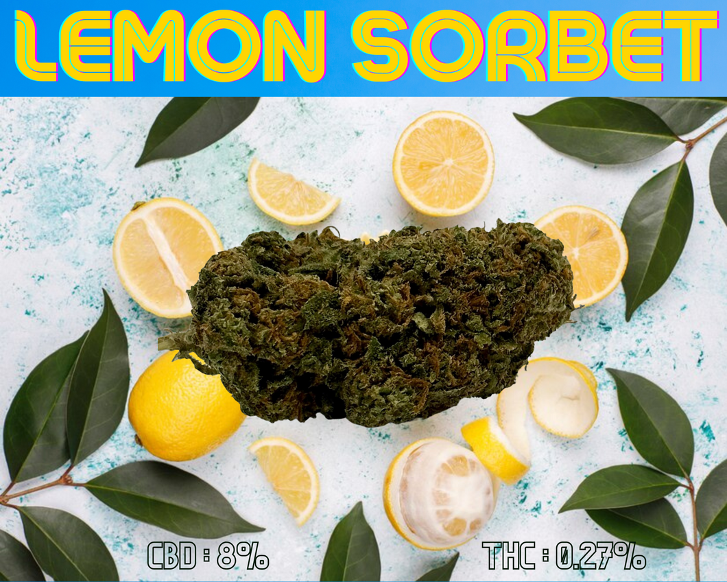 Lemon Sorbet